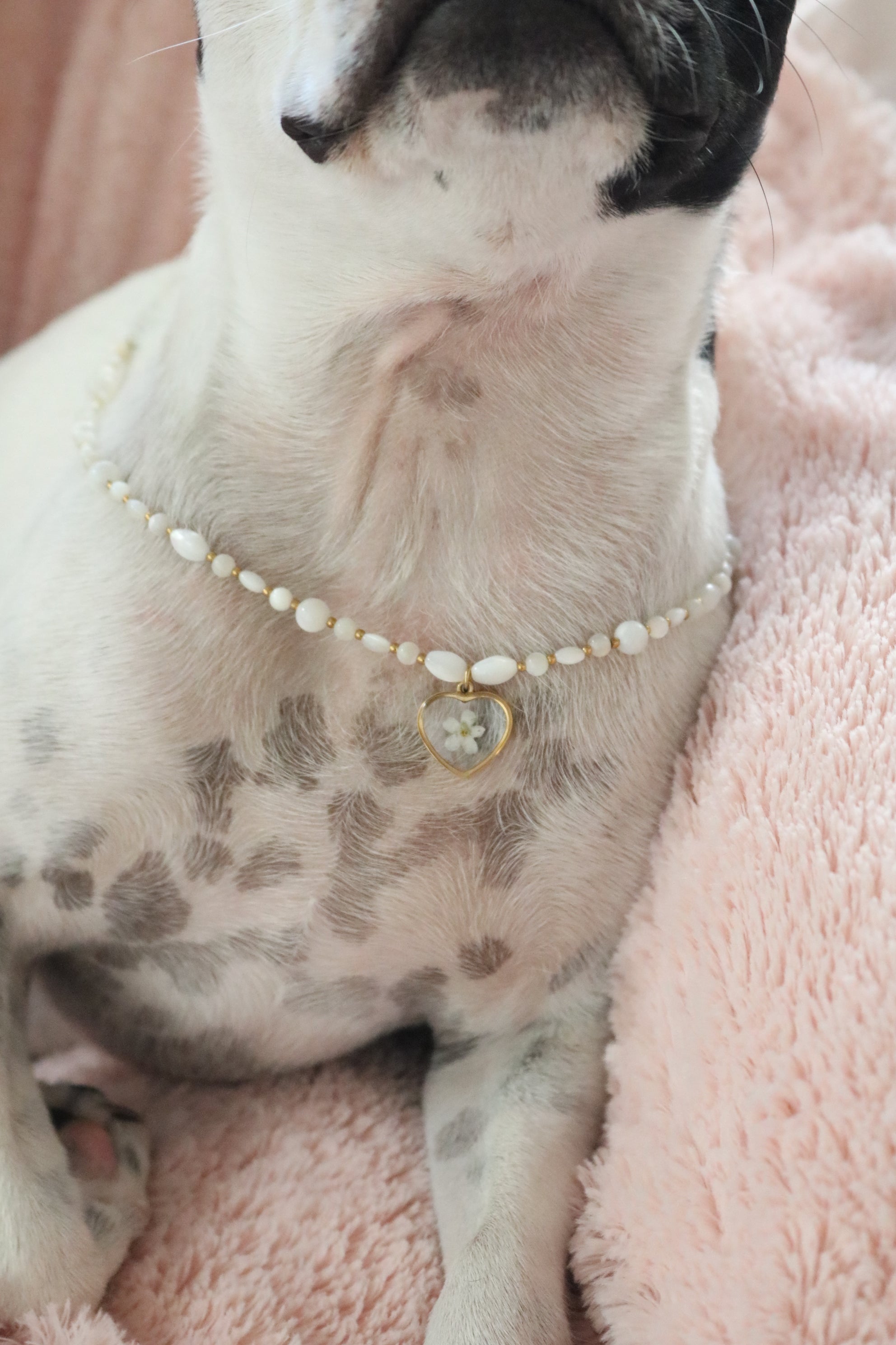 Collier Diana