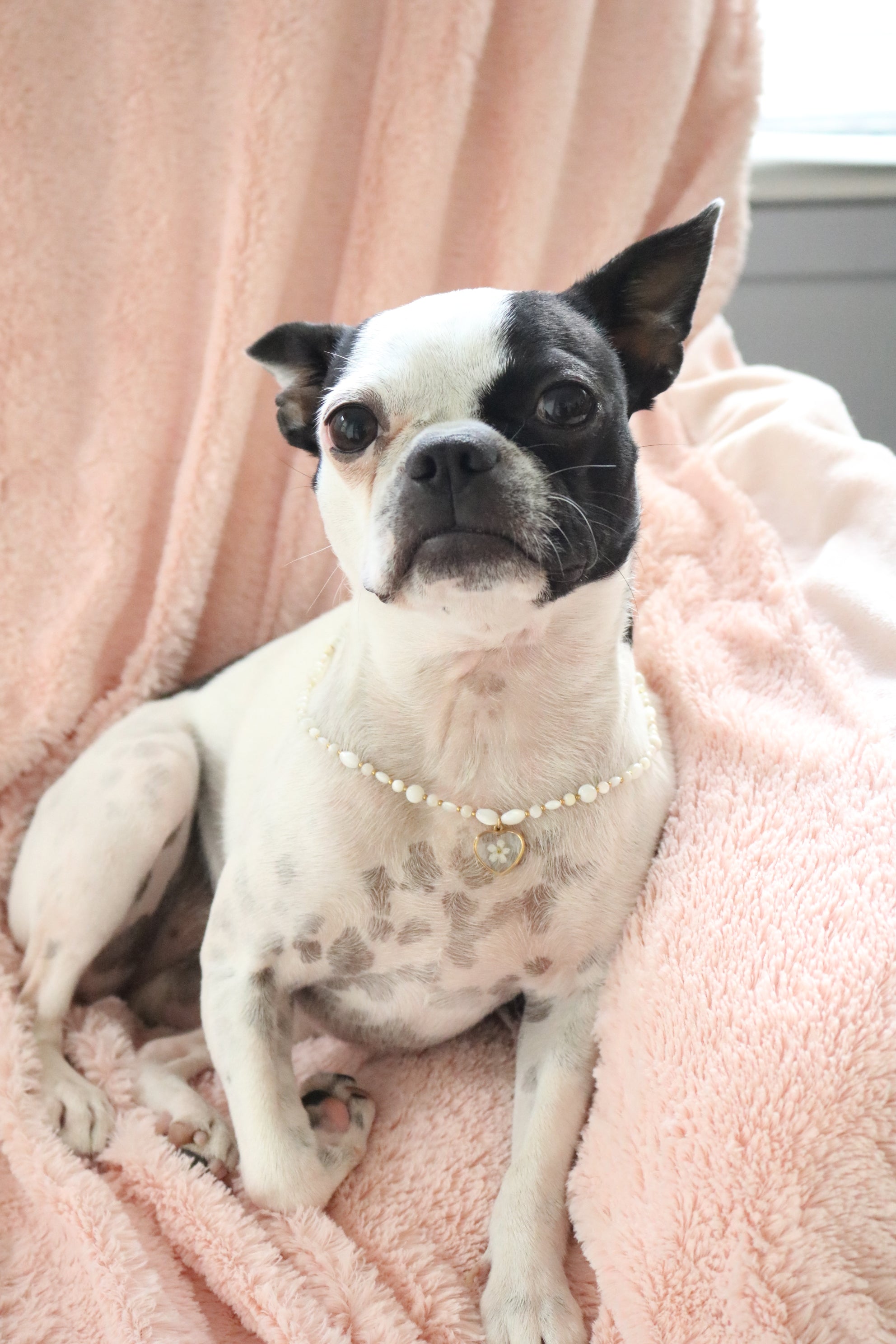 Collier Diana